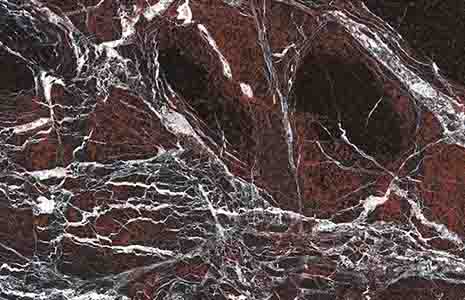 Rosso Domus