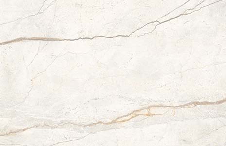 Silver Root White